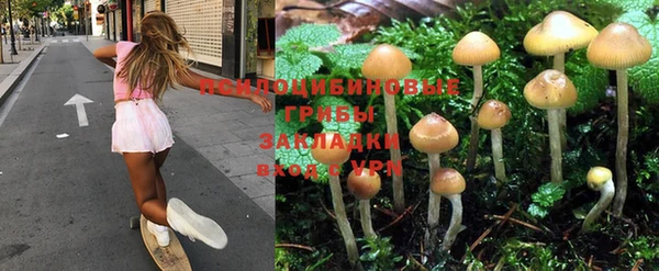 MESCALINE Алзамай