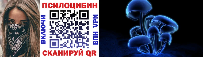 даркнет сайт  Моздок  Псилоцибиновые грибы мицелий 