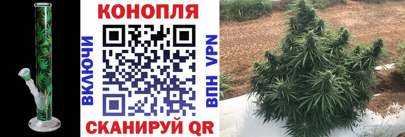 Шишки марихуана White Widow  купить   kraken ссылки  Моздок 